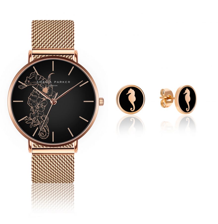 Fossil Set